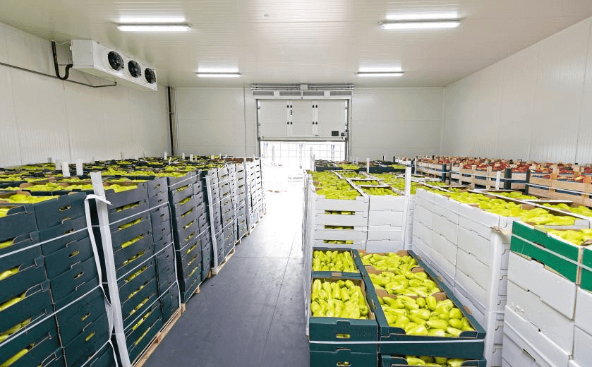caja de almacenamiento en frío