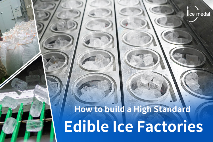 Cómo construir fábricas de hielo comestibles de alto estándar