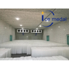 Máquina para hacer bloques de hielo Icemedal IMB10 de 10 toneladas, escultura, máquina para hacer bloques de hielo para pescado