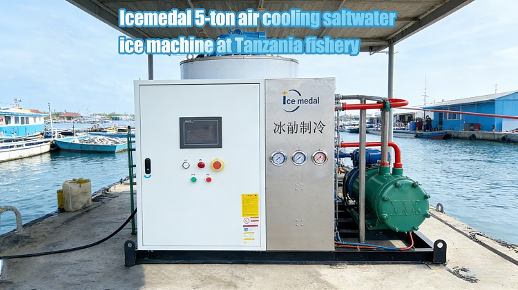 La máquina de hielo de agua salada con refrigeración por aire Icemedal de 5 toneladas ayuda al desarrollo de la pesca costera de Tanzania