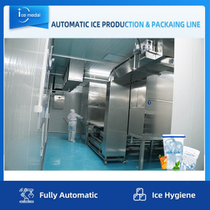 Línea de producción de hielo en cubitos completamente automática con sistema de embalaje para fábrica de hielo