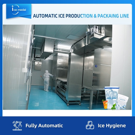 Línea de producción de hielo en cubitos completamente automática con sistema de embalaje para fábrica de hielo