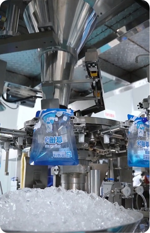 bolsa de hielo
