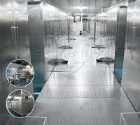 Línea de producción de 100 toneladas de la copa de hielo en China