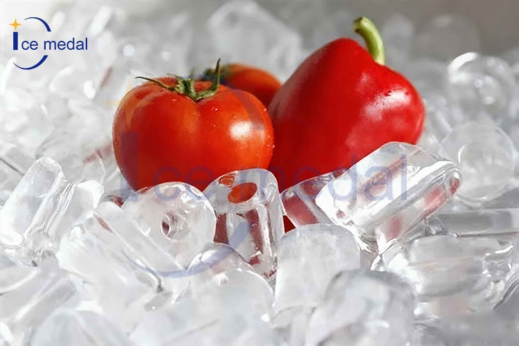 hielo en tubo para procesamiento de alimentos 