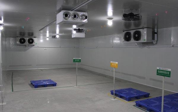 ¿Cómo mejorar eficazmente la refrigeración del almacenamiento en frío?