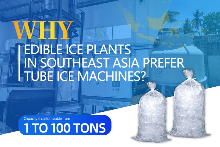 ¿Por qué las plantas de hielo comestibles en el sudeste asiático prefieren las máquinas de hielo de tubo?