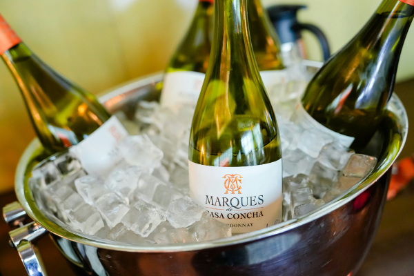 Cube hielo para bebidas