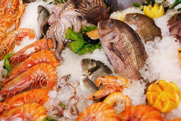 máquina de hielo en escamas para mariscos