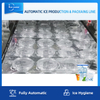 Línea de producción de hielo en cubitos completamente automática con sistema de embalaje para fábrica de hielo