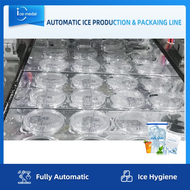 Línea de producción de hielo en cubitos completamente automática con sistema de embalaje para fábrica de hielo