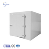 Icemedal Walk in Freezer Contenedor de 20 pies Cuarto frío Contenedor Chambre Froide para la venta