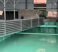 Planta de máquina de hielo en bloques de 30 toneladas por día para cliente de América del Sur