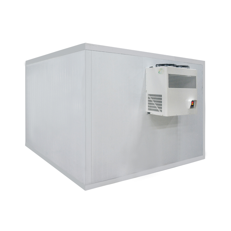 Icemedal personalizado fácil desmontaje congeladores y cámaras frigoríficas cámara de congelación almacenamiento en frío unidad de refrigeración de cámara frigorífica