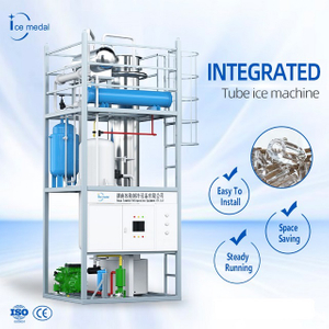 Tubo de gran capacidad personalizado Máquina de hielo 10-30 toneladas Filipinas para Ice Factory