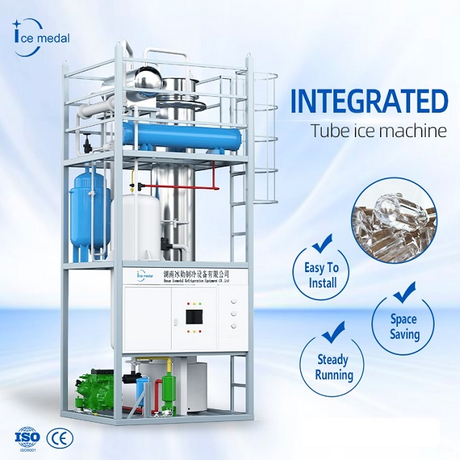 Tubo de gran capacidad personalizado Máquina de hielo 10-30 toneladas Filipinas para Ice Factory