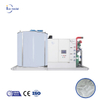 Máquina de hielo en escamas de agua de mar inoxidable Icemedal a la venta