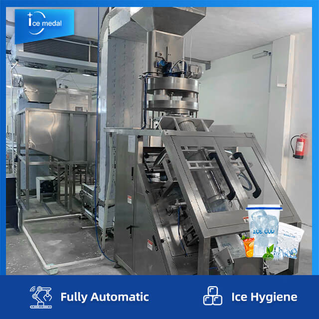 Línea de producción de hielo en cubitos completamente automática con sistema de embalaje para fábrica de hielo