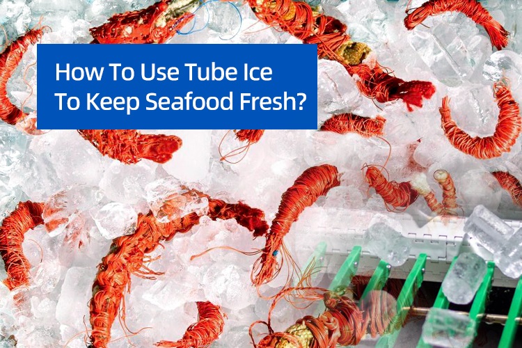 ¿Cómo usar el hielo de tubo para mantener los mariscos frescos?