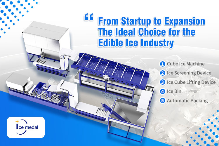 De la puesta en marcha a la expansión: la elección ideal para la industria del hielo comestible