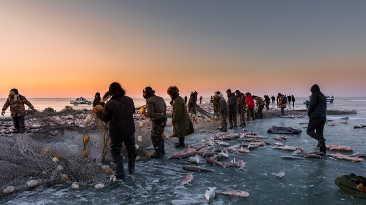 máquina de hielo en escamas para pesca