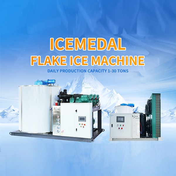 Problema común y mantenimiento de la máquina de hielo en escamas