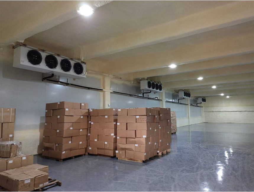 Almacenamiento en fresco, almacenamiento en frío, cámara de congelación y congelador rápido