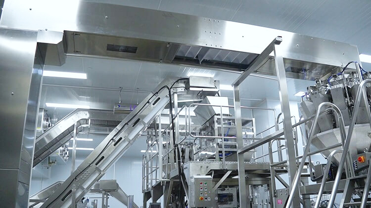 Sistema de envasado y transportador de hielo Icemedal en f&aacute;brica de hielo