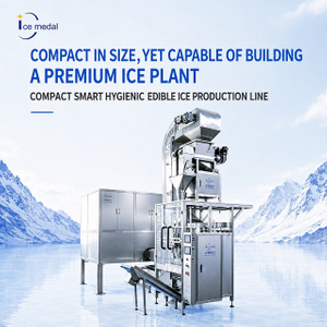 Línea de producción de hielo en cubitos comestibles compacta de 5 toneladas/24 horas con embalaje automático 